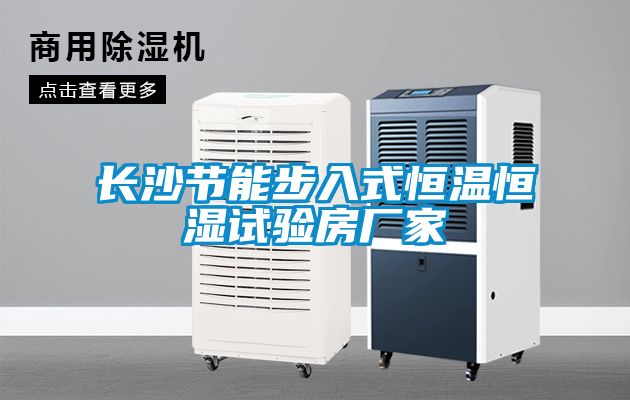 長(cháng)沙節能步入式恒溫恒濕試驗房廠(chǎng)家