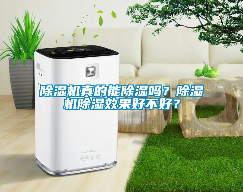 除濕機真的能除濕嗎？除濕機除濕效果好不好？