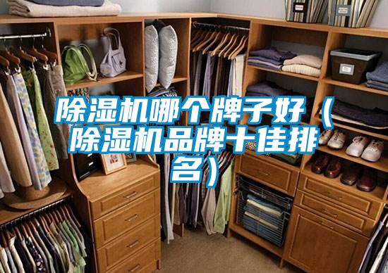 除濕機哪個(gè)牌子好（除濕機品牌十佳排名）