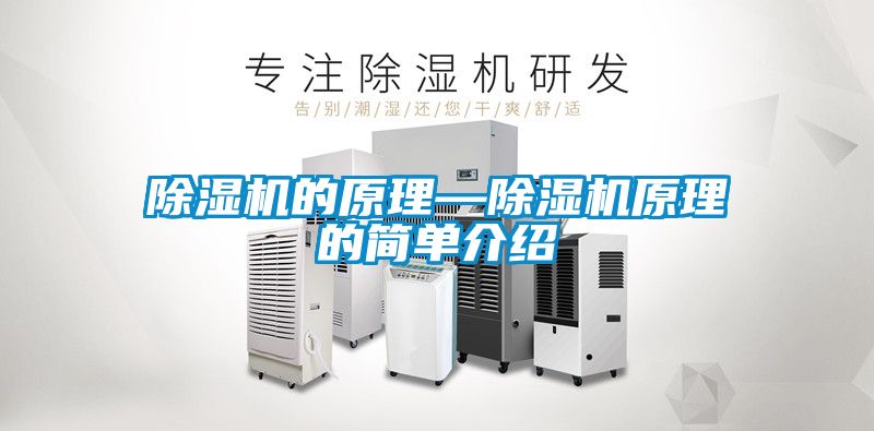 除濕機的原理—除濕機原理的簡(jiǎn)單介紹