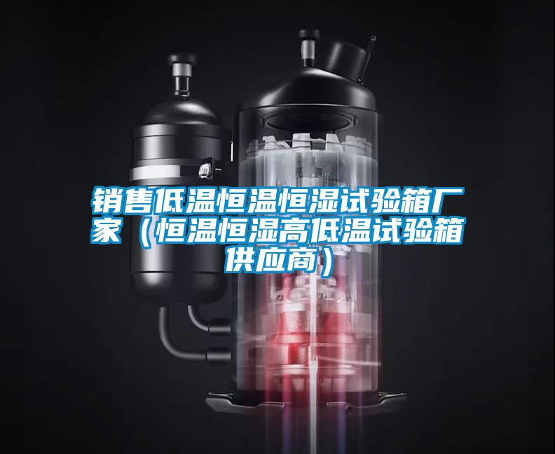 銷(xiāo)售低溫恒溫恒濕試驗箱廠(chǎng)家（恒溫恒濕高低溫試驗箱供應商）