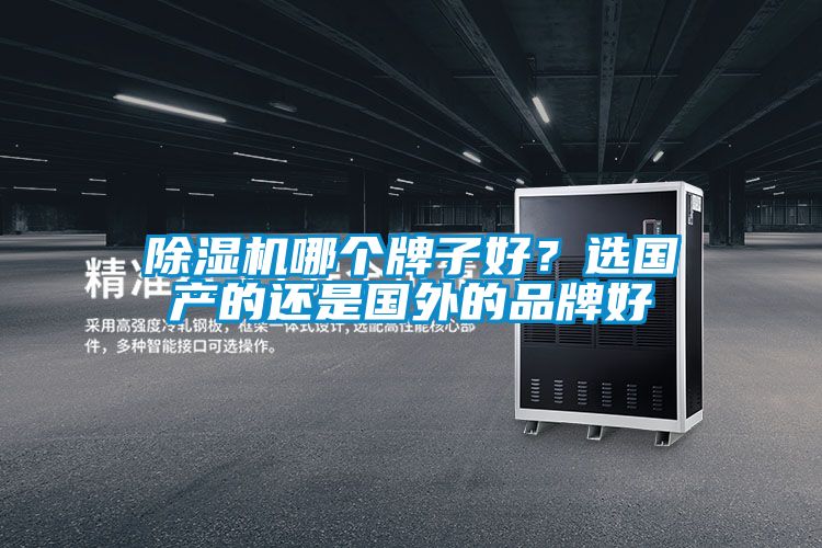 除濕機哪個(gè)牌子好？選國產(chǎn)的還是國外的品牌好