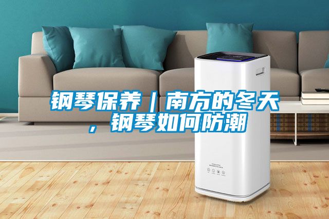 鋼琴保養｜南方的冬天，鋼琴如何防潮