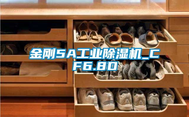 金剛5A工業(yè)除濕機_CF6.8D