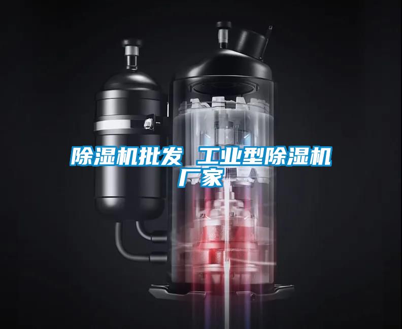 除濕機批發(fā) 工業(yè)型除濕機廠(chǎng)家