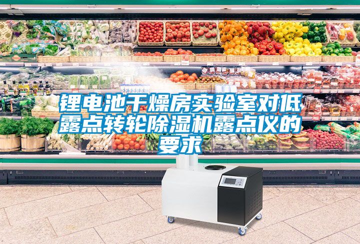 鋰電池干燥房實(shí)驗室對低露點(diǎn)轉輪除濕機露點(diǎn)儀的要求