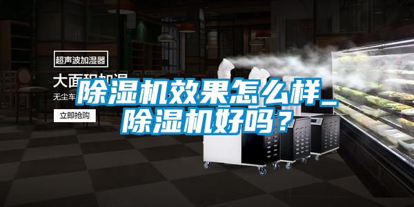 除濕機效果怎么樣_除濕機好嗎？