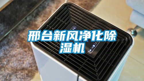 邢臺新風(fēng)凈化除濕機