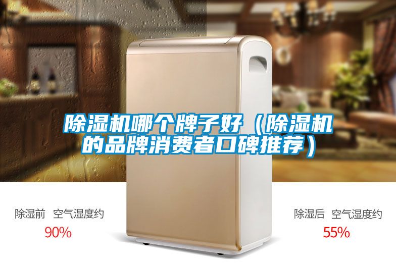 除濕機哪個(gè)牌子好（除濕機的品牌消費者口碑推薦）