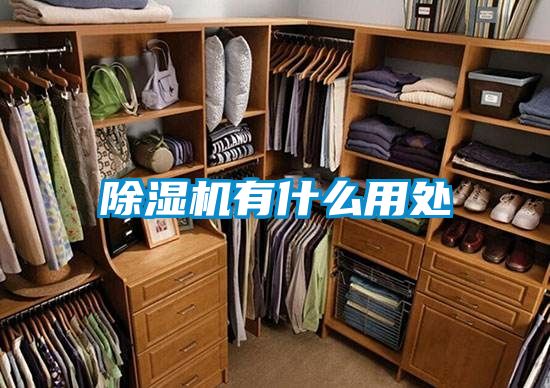 除濕機有什么用處