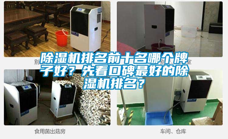 除濕機排名前十名哪個(gè)牌子好？先看口碑最好的除濕機排名？