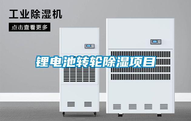 鋰電池轉輪除濕項目