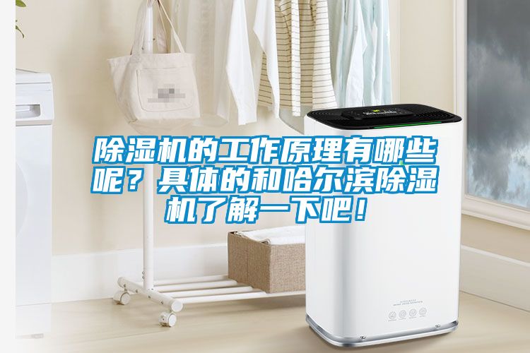 除濕機的工作原理有哪些呢？具體的和哈爾濱除濕機了解一下吧！