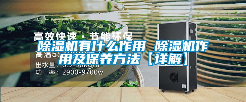 除濕機有什么作用 除濕機作用及保養方法【詳解】