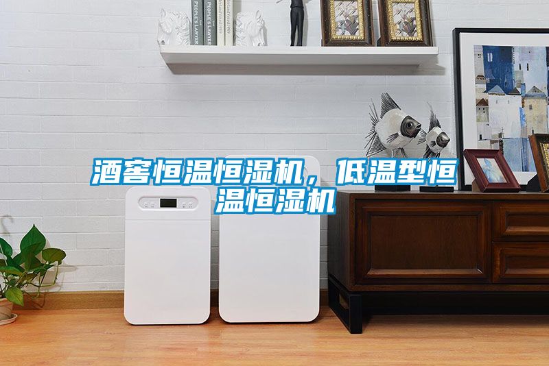 酒窖恒溫恒濕機，低溫型恒溫恒濕機