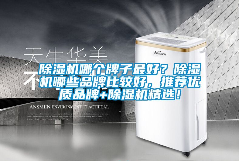 除濕機哪個(gè)牌子最好？除濕機哪些品牌比較好，推薦優(yōu)質(zhì)品牌+除濕機精選！