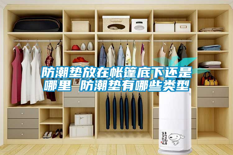 防潮墊放在帳篷底下還是哪里 防潮墊有哪些類(lèi)型