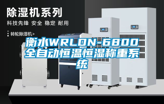 衡水WRLDN-6800全自動(dòng)恒溫恒濕稱(chēng)重系統