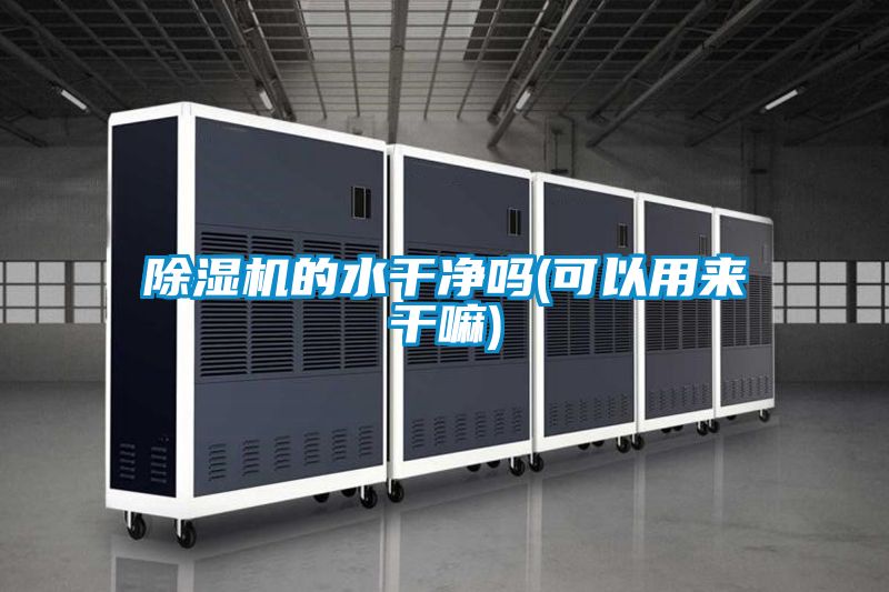 除濕機的水干凈嗎(可以用來(lái)干嘛)