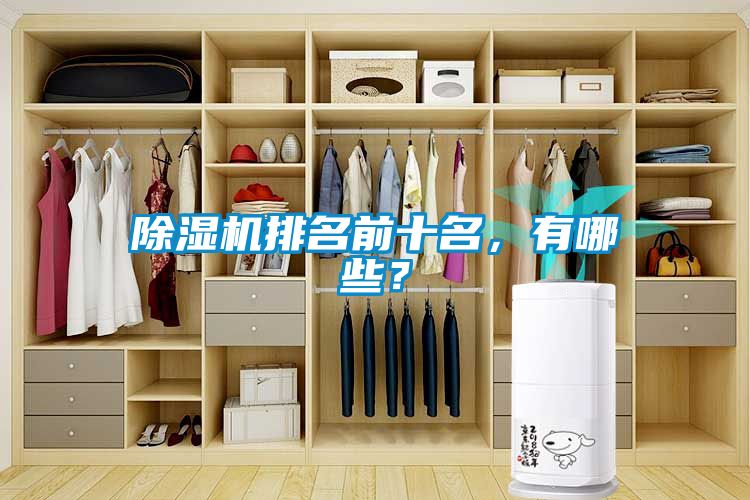 除濕機排名前十名，有哪些？