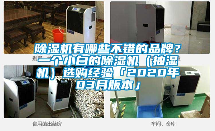 除濕機有哪些不錯的品牌？一個(gè)小白的除濕機（抽濕機）選購經(jīng)驗「2020年03月版本」
