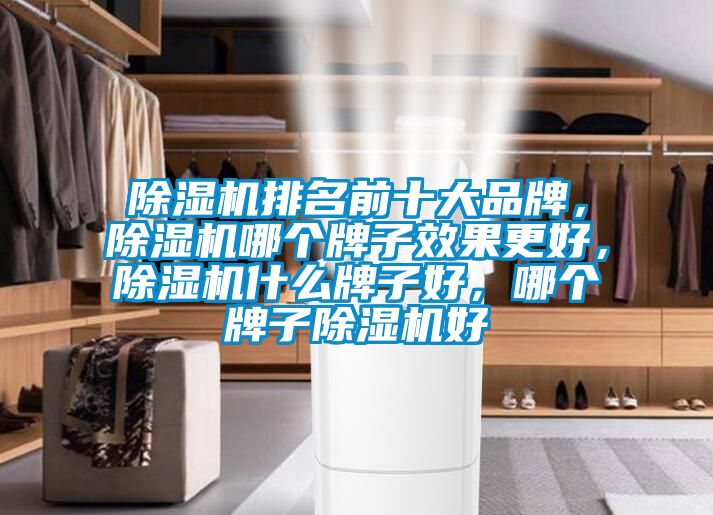 除濕機排名前十大品牌，除濕機哪個(gè)牌子效果更好，除濕機什么牌子好，哪個(gè)牌子除濕機好