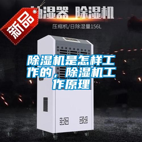 除濕機是怎樣工作的，除濕機工作原理