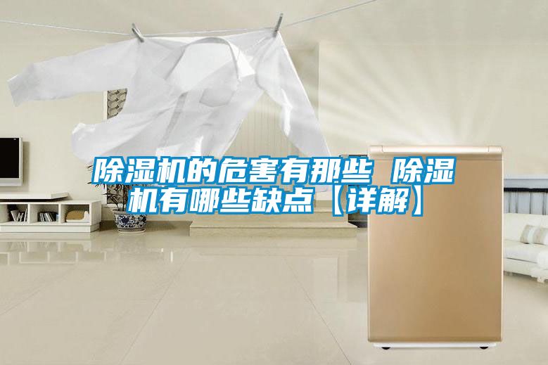 除濕機的危害有那些 除濕機有哪些缺點(diǎn)【詳解】