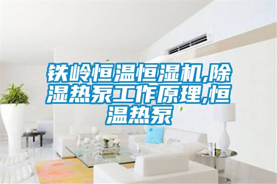 鐵嶺恒溫恒濕機,除濕熱泵工作原理,恒溫熱泵
