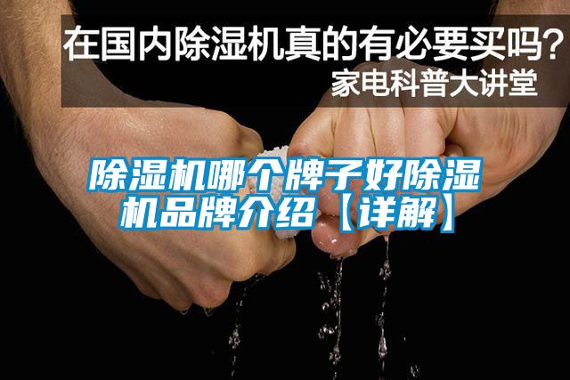除濕機哪個(gè)牌子好除濕機品牌介紹【詳解】
