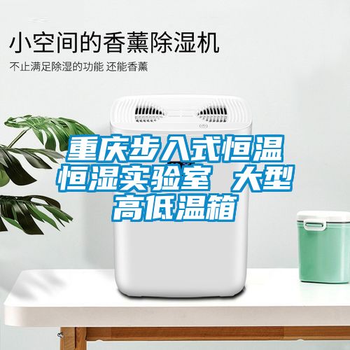 重慶步入式恒溫恒濕實(shí)驗室 大型高低溫箱
