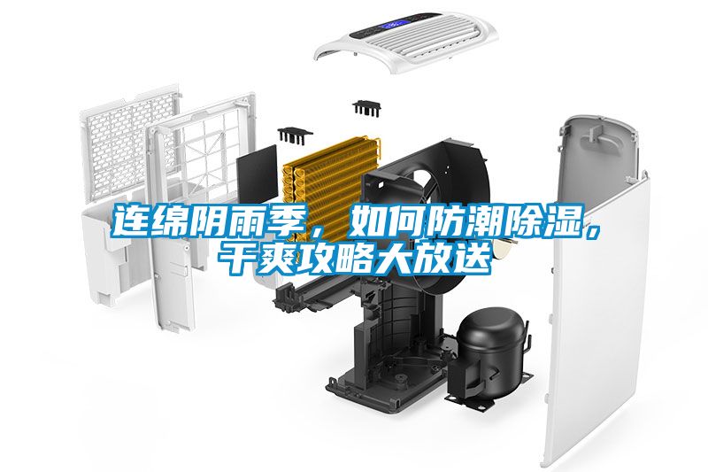 連綿陰雨季，如何防潮除濕，干爽攻略大放送