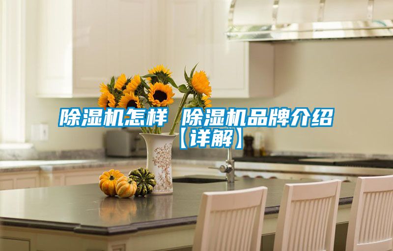 除濕機怎樣 除濕機品牌介紹【詳解】