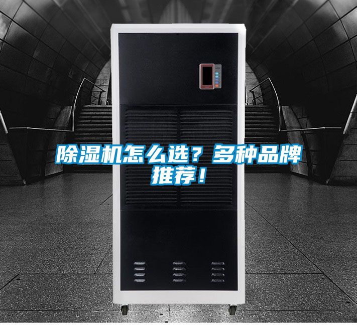 除濕機怎么選？多種品牌推薦！