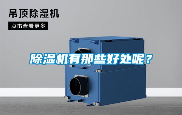 除濕機有那些好處呢？