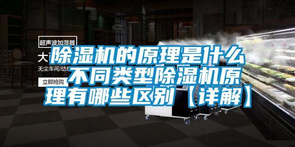 除濕機的原理是什么 不同類(lèi)型除濕機原理有哪些區別【詳解】