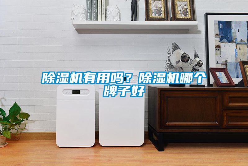 除濕機有用嗎？除濕機哪個(gè)牌子好