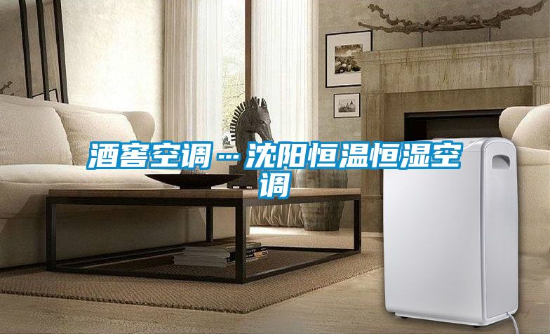 酒窖空調…沈陽(yáng)恒溫恒濕空調