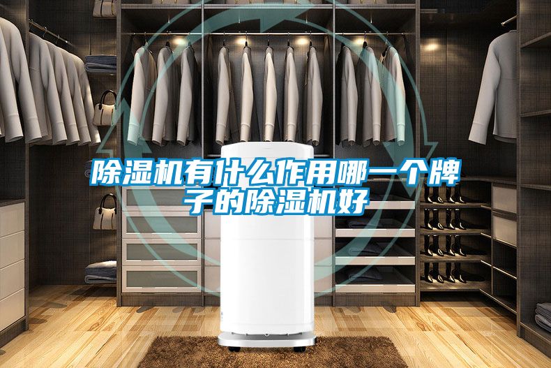 除濕機有什么作用哪一個(gè)牌子的除濕機好