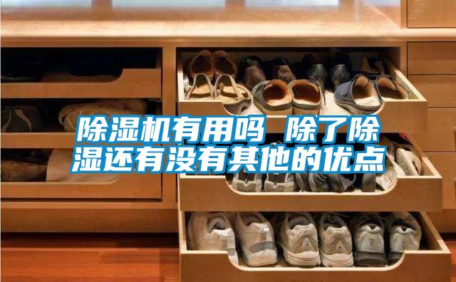 除濕機有用嗎 除了除濕還有沒(méi)有其他的優(yōu)點(diǎn)