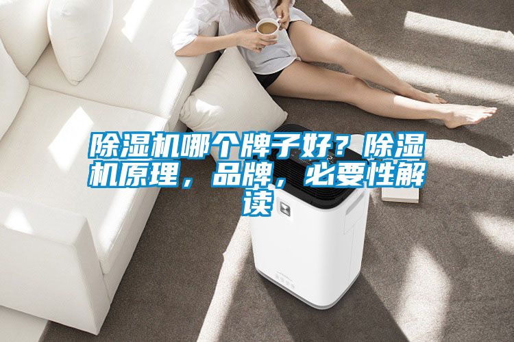 除濕機哪個(gè)牌子好？除濕機原理，品牌，必要性解讀