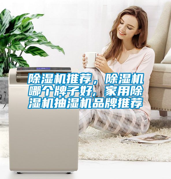 除濕機推薦，除濕機哪個(gè)牌子好, 家用除濕機抽濕機品牌推薦