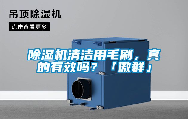 除濕機清潔用毛刷，真的有效嗎？「傲群」
