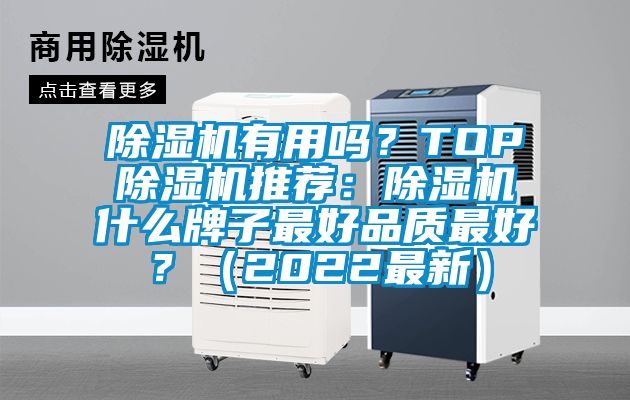 除濕機有用嗎？TOP除濕機推薦：除濕機什么牌子最好品質(zhì)最好？（2022最新）