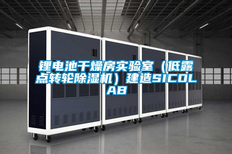 鋰電池干燥房實(shí)驗室（低露點(diǎn)轉輪除濕機）建造SICOLAB