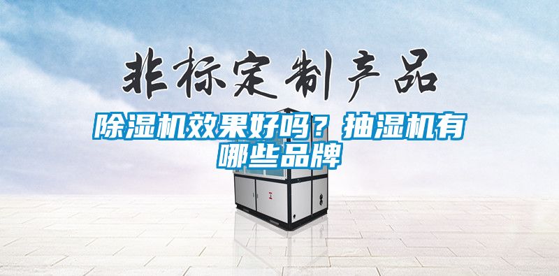 除濕機效果好嗎？抽濕機有哪些品牌