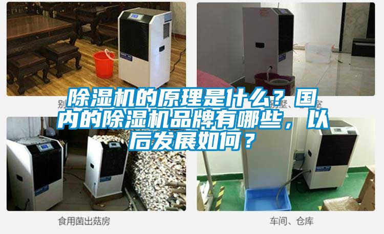 除濕機的原理是什么？國內的除濕機品牌有哪些，以后發(fā)展如何？