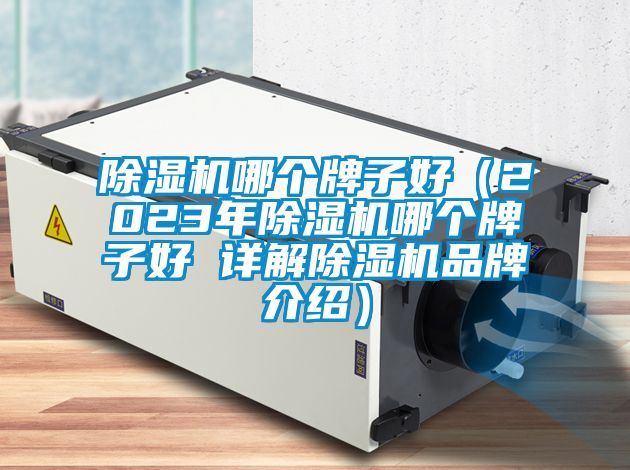 除濕機哪個(gè)牌子好（2023年除濕機哪個(gè)牌子好 詳解除濕機品牌介紹）