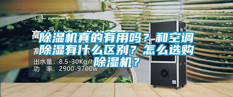 除濕機真的有用嗎？和空調除濕有什么區別？怎么選購除濕機？
