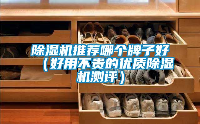 除濕機推薦哪個(gè)牌子好（好用不貴的優(yōu)質(zhì)除濕機測評）